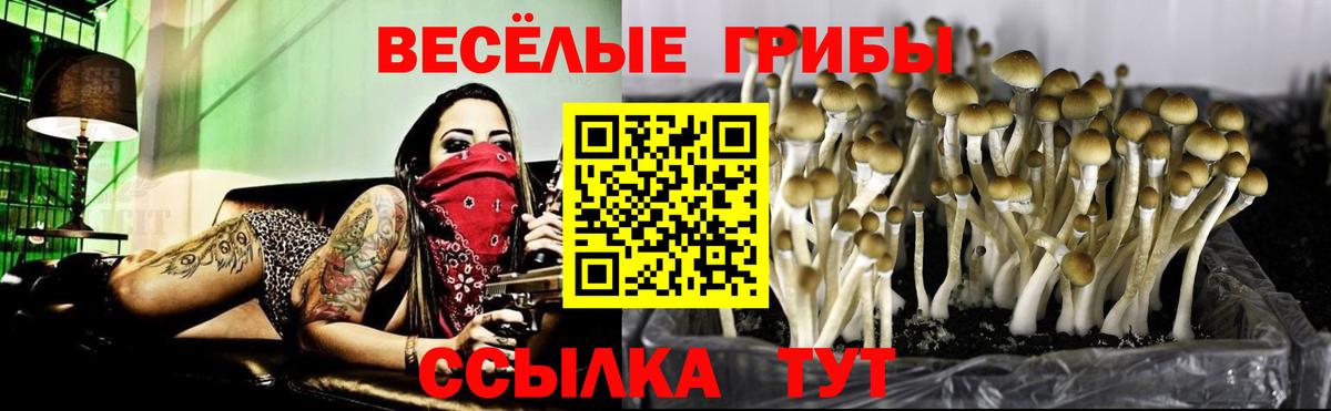 Калуга  Псилоцибиновые грибы MAGIC MUSHROOMS  Галлюциногенные грибы Cubensis  Вход с VPN 